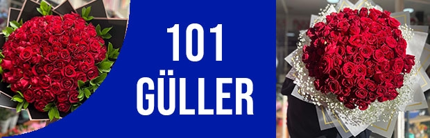 101 Güller