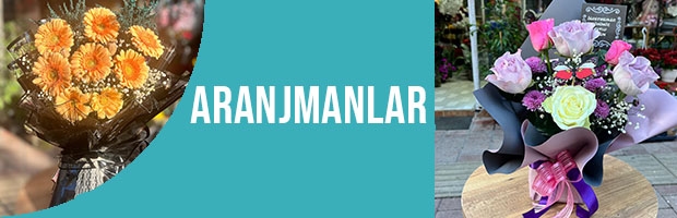 Aranjmanlar