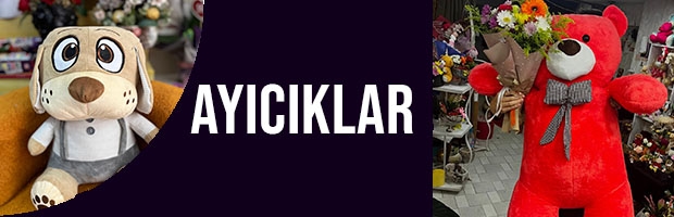 Ayıcıklar