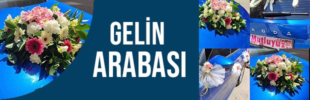 Gelin Arabaları