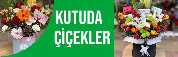 Kutuda Çiçekler