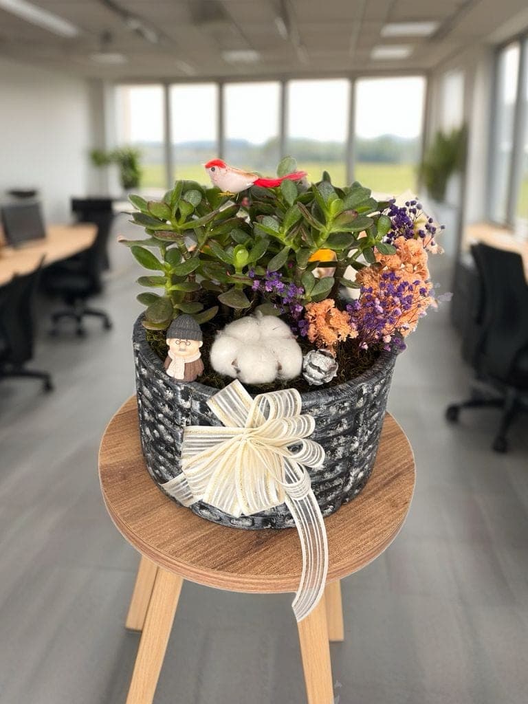Büyük Saksıda Ofis Güzeli - Küçük Görsel 2