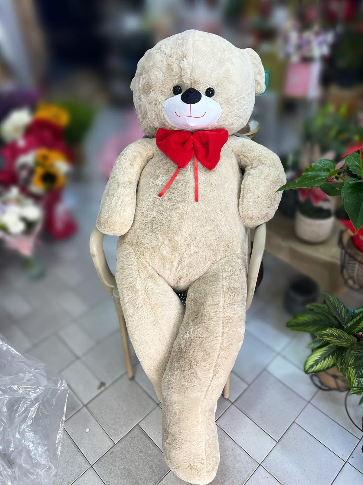 Jumbo Boy Kahverengi Ayıcık - Küçük Görsel 2