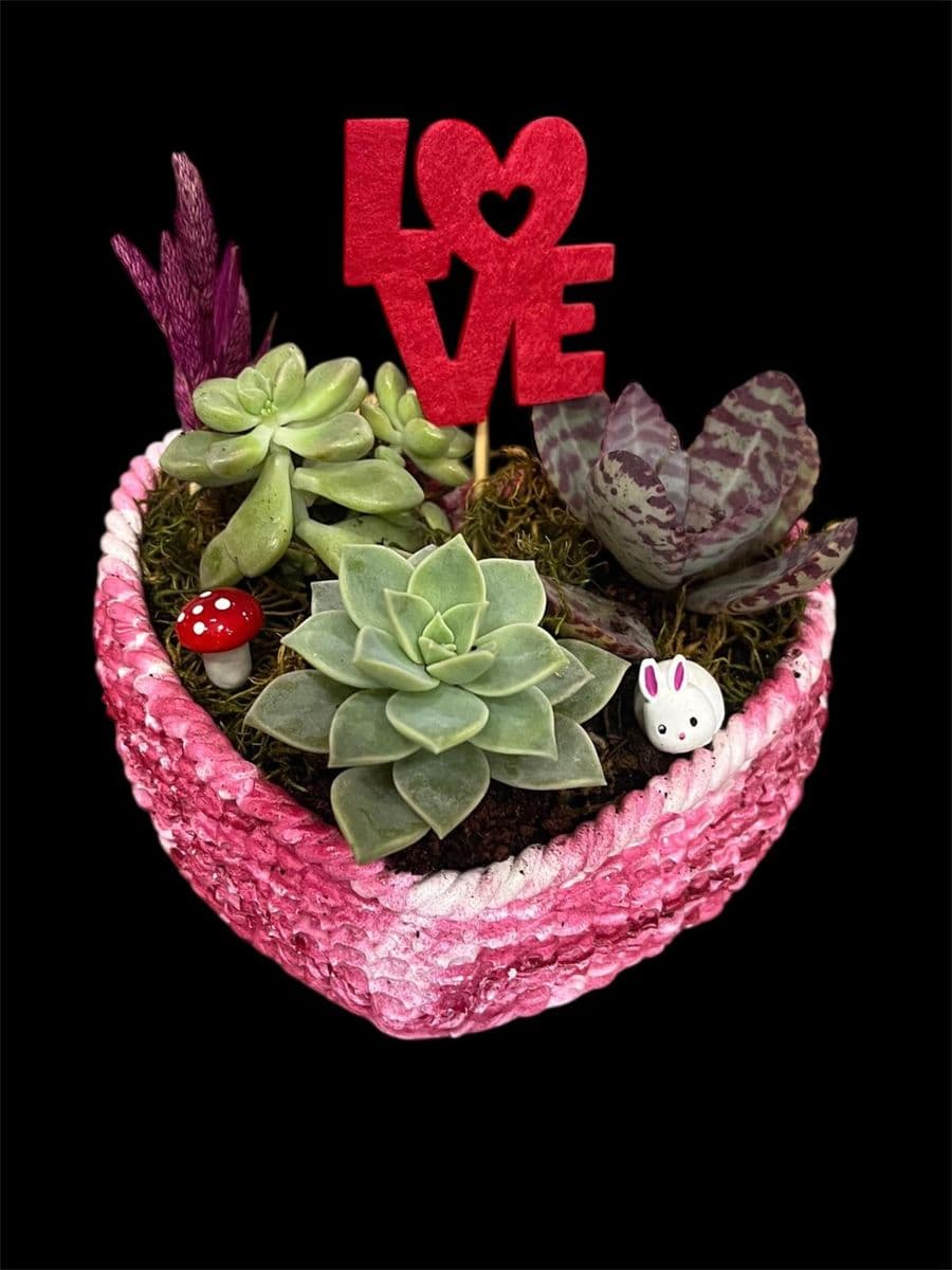 Canlı Kalp Saksıda Teraryum - Küçük Görsel 3