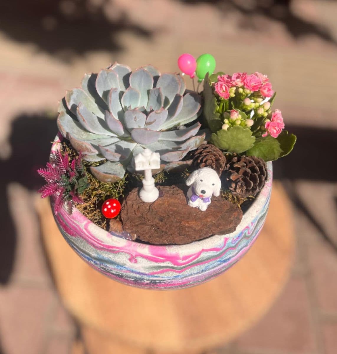 Büyük Pembe Saksıda Teraryum - Küçük Görsel 2