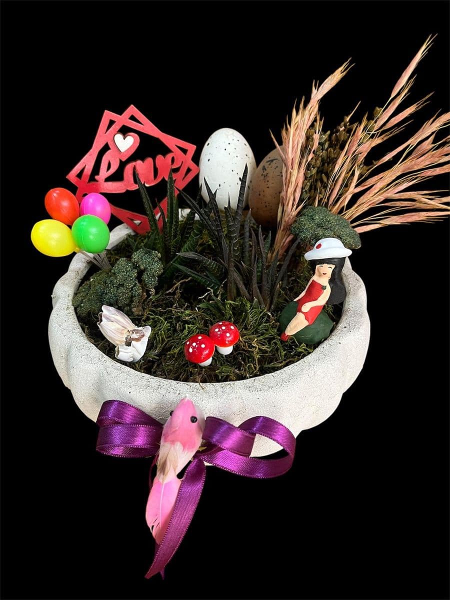 Balkabağı Saksıda Güzellik - Küçük Görsel 2