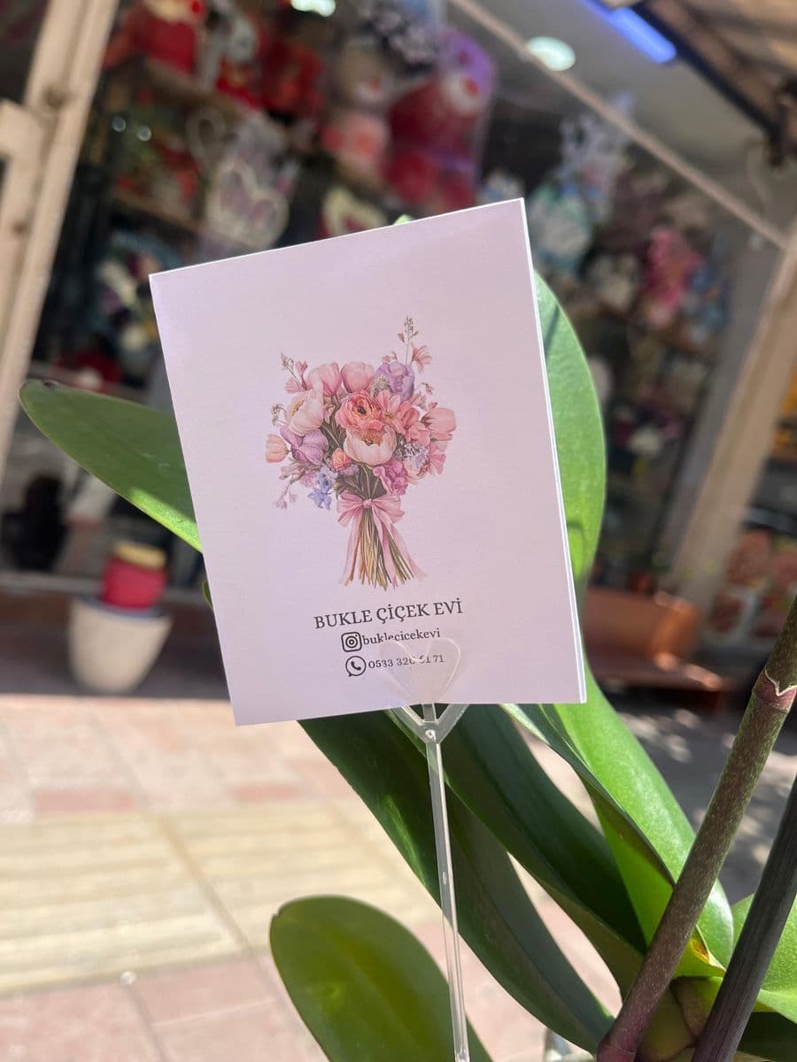 Dekor Saksıda Pembe Orkide - Küçük Görsel 2