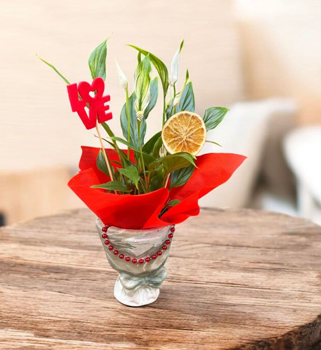 Fiyonk Saksıda Spatifilyum - Küçük Görsel 2