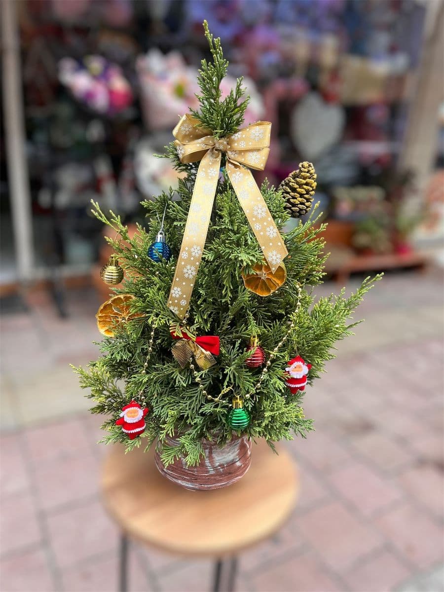 Yılbaşı Çam Aranjman