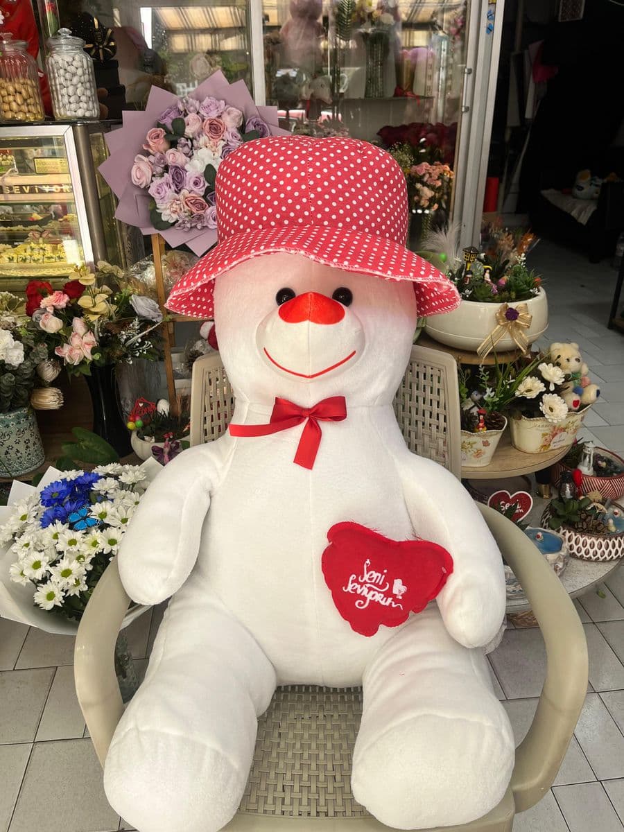 Şapkalı Kocaman Ayıcık