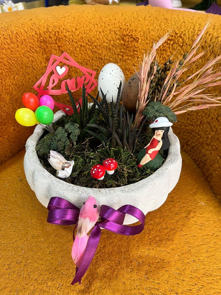 Balkabağı Saksıda Güzellik