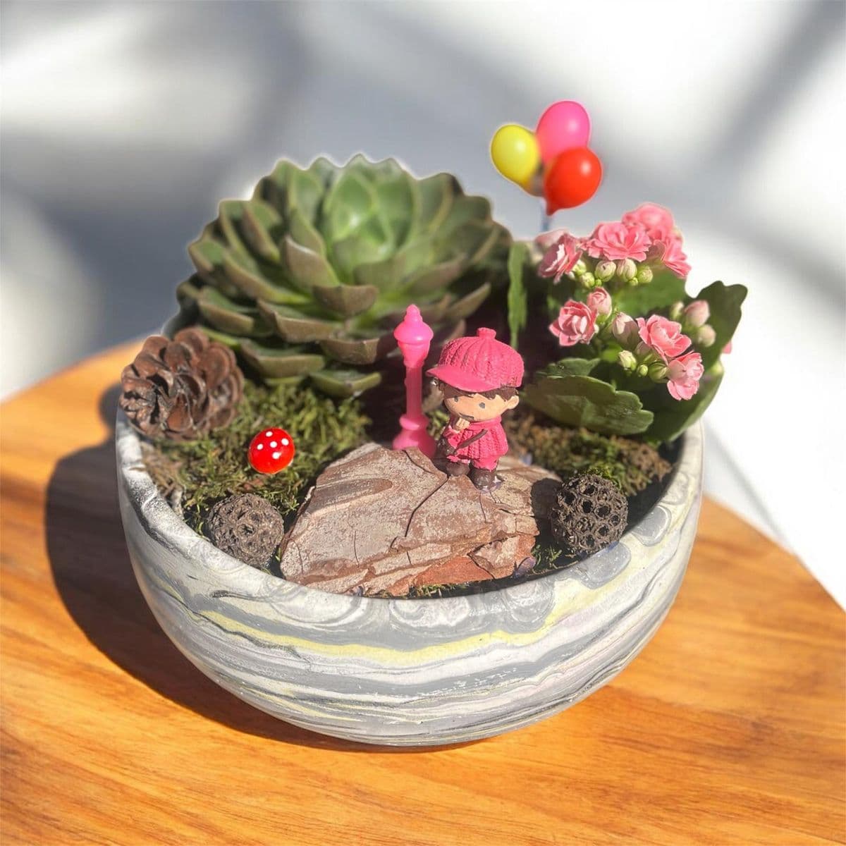 Büyük Gri Saksıda Teraryum