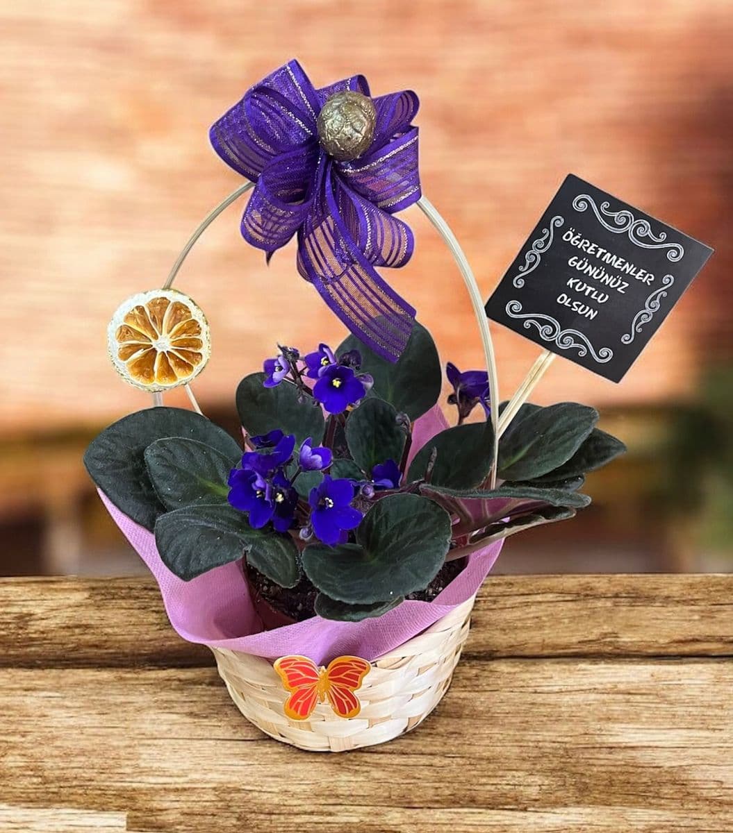 Sepette Mor Menekşe